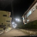 [시즈오카여행] 톳코누유 대나무숲길 슈젠지 온천마을 방문 후기(+렌트카, 저녁 밤늦게 방문, 주차요금)