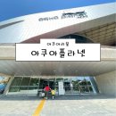 [서울 양주 남양주 의정부 일산 아쿠아리움] 일산 아쿠아플라넷 후기 (맛집 주차)