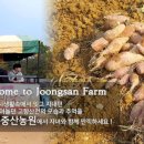 중산농원 이미지