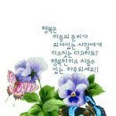 9월 6일 금요일 ㅡ오늘은 9월들어ㅡ첫번째 불금 입니다 ㅡ 이미지