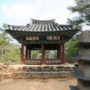 무릉도원면-41 Daum카페