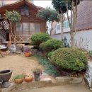 대가복국 이미지