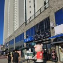 장유회로당 | 장유맛집 풍덩 횟집 후기 | 김해 장유 전갱이 고등어회 맛집 추천