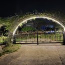 경산아지매 이미지