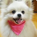 아이쁘다 이미지