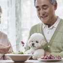 고령가구 이미지