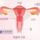 동원요양병원 네이버블로그