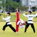 유신 태권도 이미지