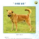 진수