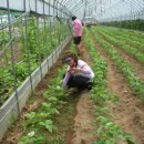 성희농장 이미지