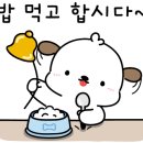 청진동 할매 해장국 이미지