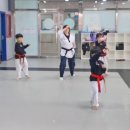 세종 고운 태권도 이미지