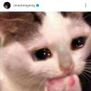 멋댕이 네이버블로그