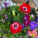 붕어섬 식당 | 임실 붕어섬옥정호 출렁다리