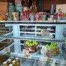 피치오카페 cafe pichio