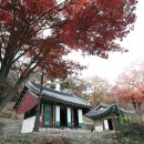 운남로1 이미지