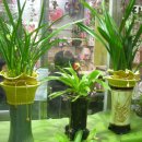 테크노노래방 이미지