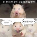 캐나다의 겨울을 아는사람: 너무추워