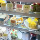 세븐일레븐 용인양지제일점 | 용인 홀케이크 맛집 몽트커피, 디저트 존맛 느좋 양지 카페! 소금빵까지