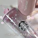 710 | 스타벅스 신상 봄MD 텀블러 추천 | 블루밍 플라워 콜드컵 710ml 후기