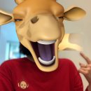 장수원 | 날씨는 덥지만 불쾌하진 않은 정도의 나날들☀️ | 마당돈까스, 아웃백 센트럴시티점, 장수원, 파니모들