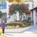 천주교 순례길 - 하논성당길 | 제주 서귀포시...성지순례 하논성당길(서귀포성당~흙담길)