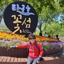 2026 파로에서 이미지