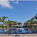 썬 라이즈 이미지