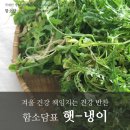 이병용 농장 이미지