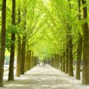 스토리 펜션 이미지