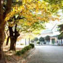 대신초교병설유치원 이미지