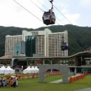 대명농장2 이미지