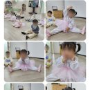 창의나무어린이집 이미지