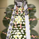 현대치재 Daum카페