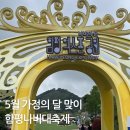 나비트래블 | 5월 가족의 달, 아이와 함께 가족나들이 가기 좋은 함평 엑스포 공원 FEAT. '함평나비대축제'