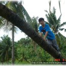 준석농장 이미지