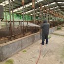 정남진축산 이미지