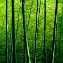 좋은소리 보청기 이미지