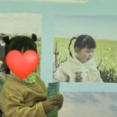 2026 새만금 보리밭 축제 후기 김제청보리축제 진봉보리밭축제