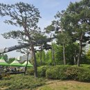 스카이코리아 이미지