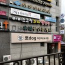 뽀도DOG 이미지