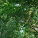 죽청농장 이미지