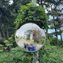 바닷길 풍경 이미지