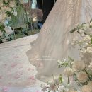 아이폰 스냅 ‘뉘앙스 Nuance' 계약 후기