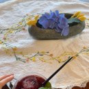 봉하우스 | 나주 촌캉스 독채 숙소 [봉하우스] 내돈내산 후기