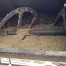 근성농장 이미지