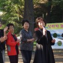 해평초교 이미지