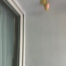 임광그대가1단지경로당 | 화성 봉담임광그대가1단지 탄성코트 진솔탄성줄눈 전문가에게 맡긴 이유와 후기