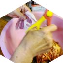 [구독경제 서포터즈] 통목살 김치찜 만드는 간단한 방법