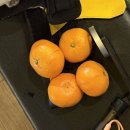 크로스핏 알피 이미지